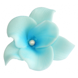 Kwiat cukrowy dekoracja tort storczyk niebieski 1x